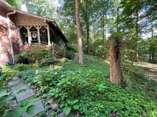 Mary's Place - Studio surrounded by nature but close to High Point - 5