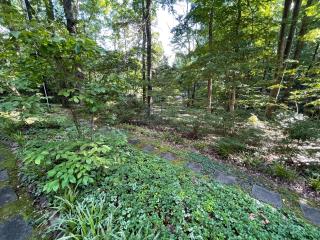 Mary's Place - Studio surrounded by nature but close to High Point - 1