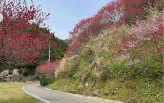 ゲストハウスMizu no Oto - 2