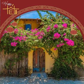Flow House 3BR Beachfront An Bang Beach Hoi An by Beachside Boutique Homes - An Bang - 1