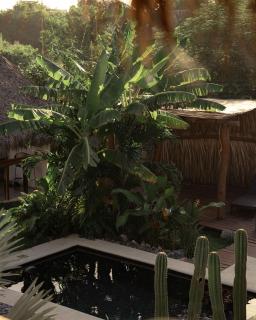 Casa Mexibali, Entire House - Troncones - 8