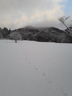 Tanehachi Farm Guesthouse - Vacation STAY 29709v - Aomori - 5