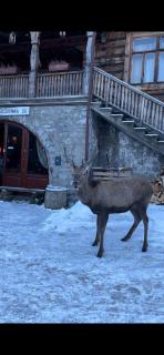 Schody Do Nieba - Zakopane - 0
