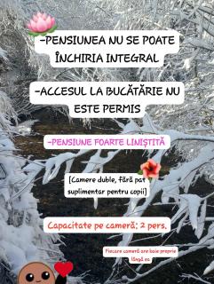 Casa Muntelui Râșnov - Sohodol - 8