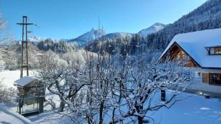 Mountain Apartment Rododendro - 9