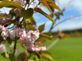 Awakening Alchemy Retreat Centre - Inverurie - 1