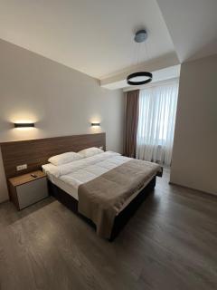 bakuriani Crystal Loft A 210 - Bakuriani - 7