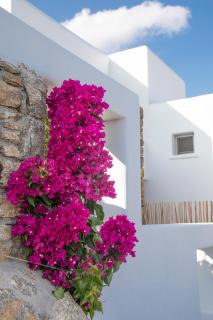 The Summit of Mykonos - 7