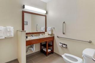 Comfort Suites Normal University area - 3