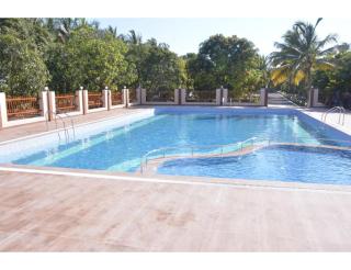 Raghav Farm, Gujarat - Junagadh - 4