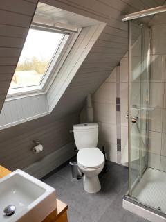 ALSACE Gite indépendant jardin près Colmar Eguisheim, - Oberhergheim - 6