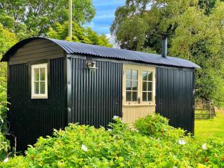 shepherd hut glamping in Northumberland - Newcastle upon Tyne - 8