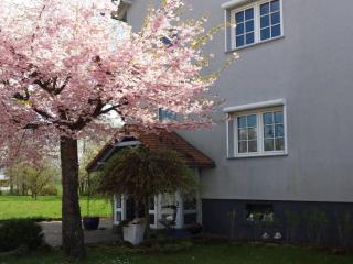 Romantic, luxurious en modern holidayhome - Vinningen - 6