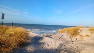Fewo Muschel incl Kurkarte Parkplatz und strandnah - Ahrenshoop - 0