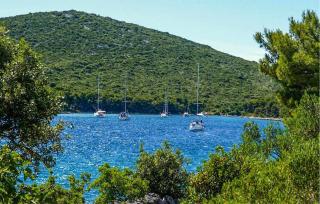 Pet Friendly Home In Pasman With Wi-Fi - Pašman - 2