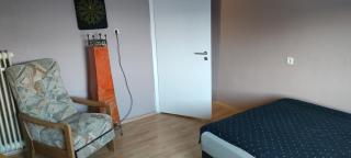 Käfer e - Waldbrunn - 7