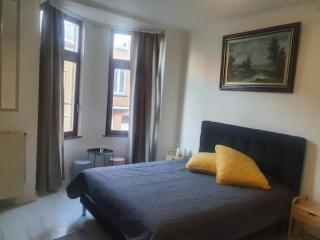 Beautiful, renovated fully self contained room - Bruxelles - 0