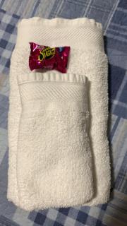 Apto aconchegante com 3 dormitorios bem localizado - 5