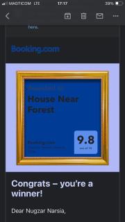 House Near Forest - Bakuriani - 8