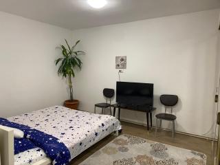 Ardelean Apartment - Oradea - 8