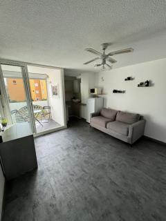 Appartement T2 cap d agde au calme proche toute commodité port et île des loisirs - 0