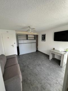 Appartement T2 cap d agde au calme proche toute commodité port et île des loisirs - 9