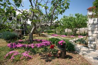 Nur 250 Meter bis zur kristallklaren Adria - 3