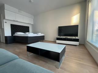 Simple studio for two in Turku Center - Turku - 0