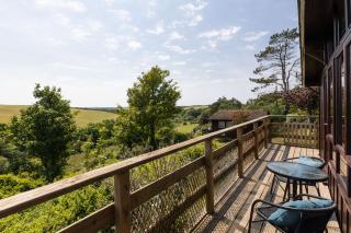 Coastal cabin, dog paradise, doorstep woodland walks, sea 5 mins by car - 1
