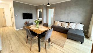 Przytulna Apartment close to the airport and PKM - Danzig - 7