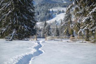 Vila Dorna Royal - 2