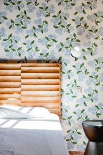 Big apartment near Piazza Santo Spirito - 0