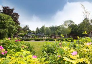 Bassenthwaite Lakeside Lodges - Bassenthwaite - 7