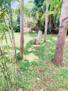 GREEN PARADISE LEONA VICARIO - 5