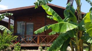 Serenity Bungalows - Çıralı - 9