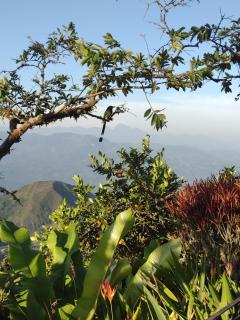 Finca Emilio - Fredonia - 5