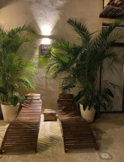 Cssa Kareli Holbox - Isola Holbox - 3