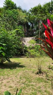 Amazona Lodge - Leticia - 3