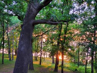 Lakeside Retreat - Quitman - 8