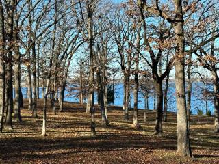 Lakeside Retreat - 2