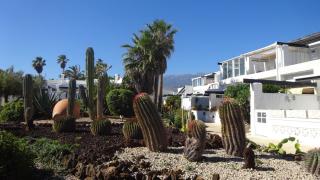 Ferienwohnung mit Dachterrasse, mehreren Pools, Garten und viel Ruhe - Poris de Abona - 3