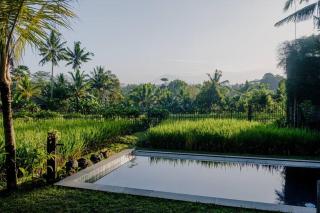 Dukuh Ubud Villa #4 Ricefield View - Payangan - 0