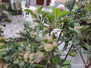 Casa Baraquel - Arequipa - 2