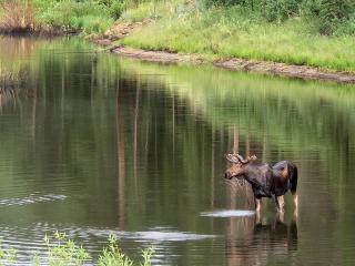 Mountain Getaway in Lyons, Colorado - 0