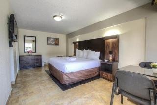 La Bella Oceanfront Inn - Daytona - Daytona Beach - 3