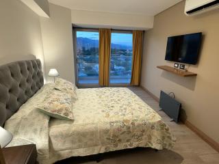 Luxury Apartment, with pool - Mendoza - 1