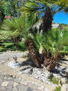 Apartments and rooms with parking space Palit, Rab - 22221 - Rab (Arbe) - 4