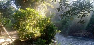 ASK Homestay - Ella - 9
