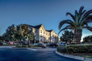 TownePlace Suites by Marriott Savannah Airport - Savannah - 9