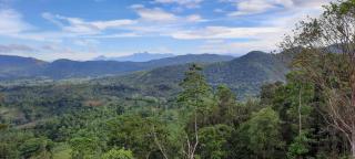 Jml villa foresta - Kalawana - 8